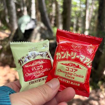 デジタルバッジ欲しさにイベント参加しました⸜(*ˊᗜˋ*)⸝