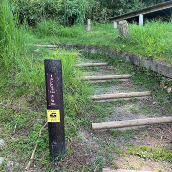 今回は氷ノ越コースでてっぺんを目指します。
氷ノ山キャンプ場内を通った所に登山口があります。
