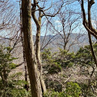 笙ヶ岳が見えます。