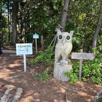 
そして 大黒山 展望台 に 到着 です 🙌
🦉 が お出迎え してくれました 🥰
自分 もアイコン が 🦉 です 😆

