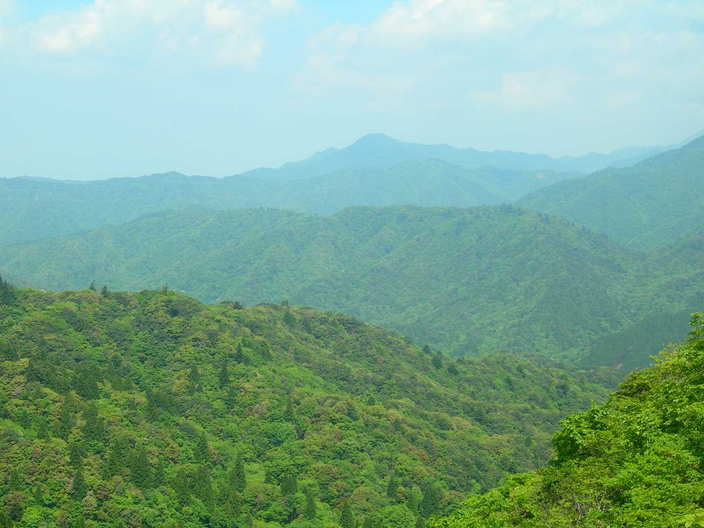 石榑峠-三池岳-八風峠-北仙香山-中峠 往復コースの写真