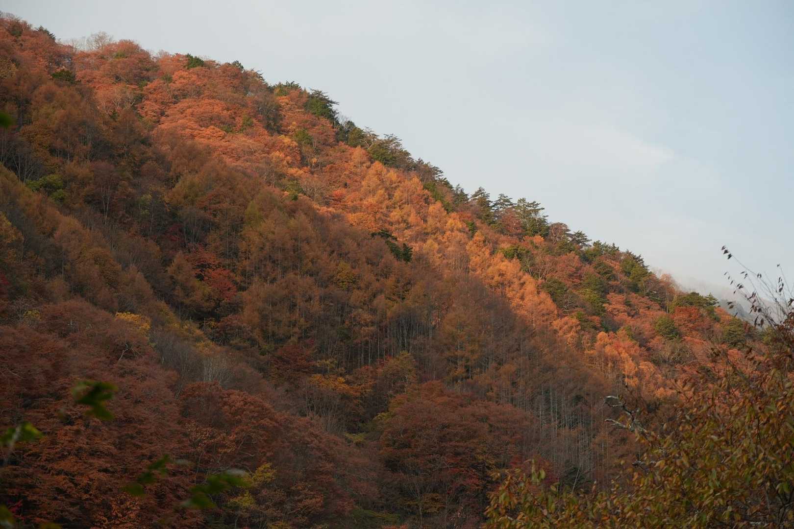 西沢渓谷入口バス停-木賊山 縦走コースの写真