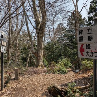 ジャンクションピーク