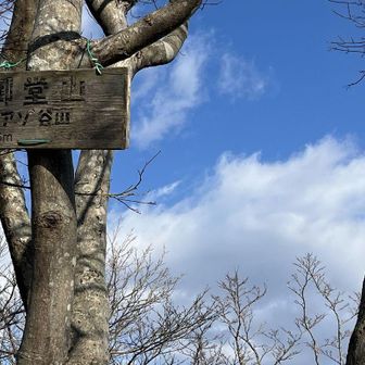 真冬は看板も埋もれています