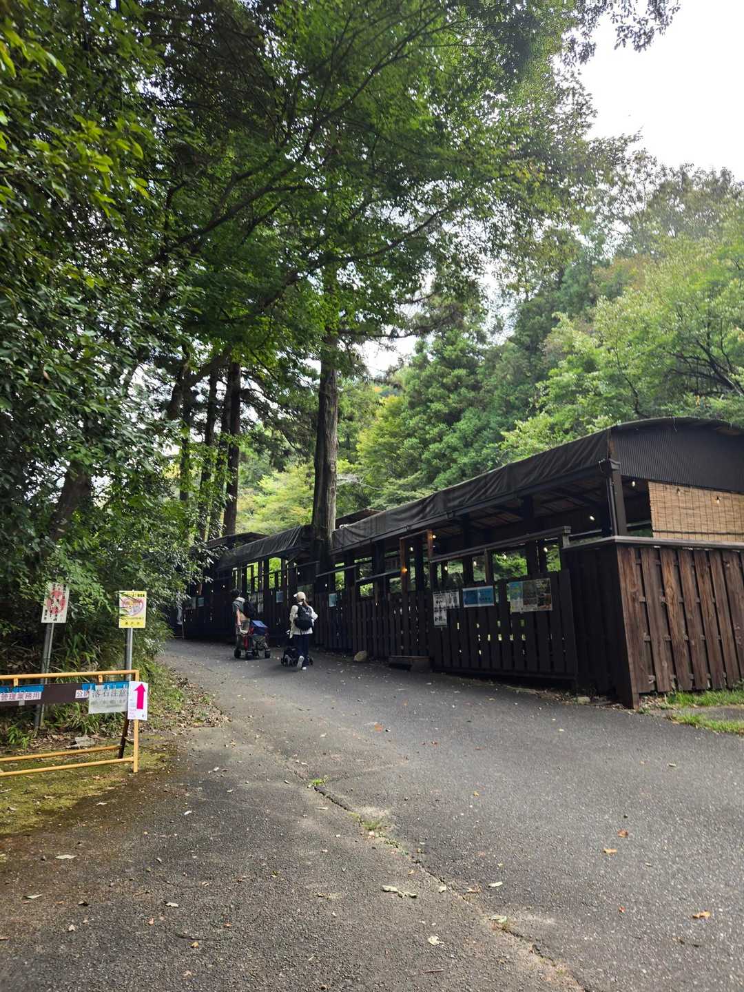 元岩巣山 往復コースの写真