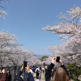 この線路の上に舟を乗せて移動したのか〜