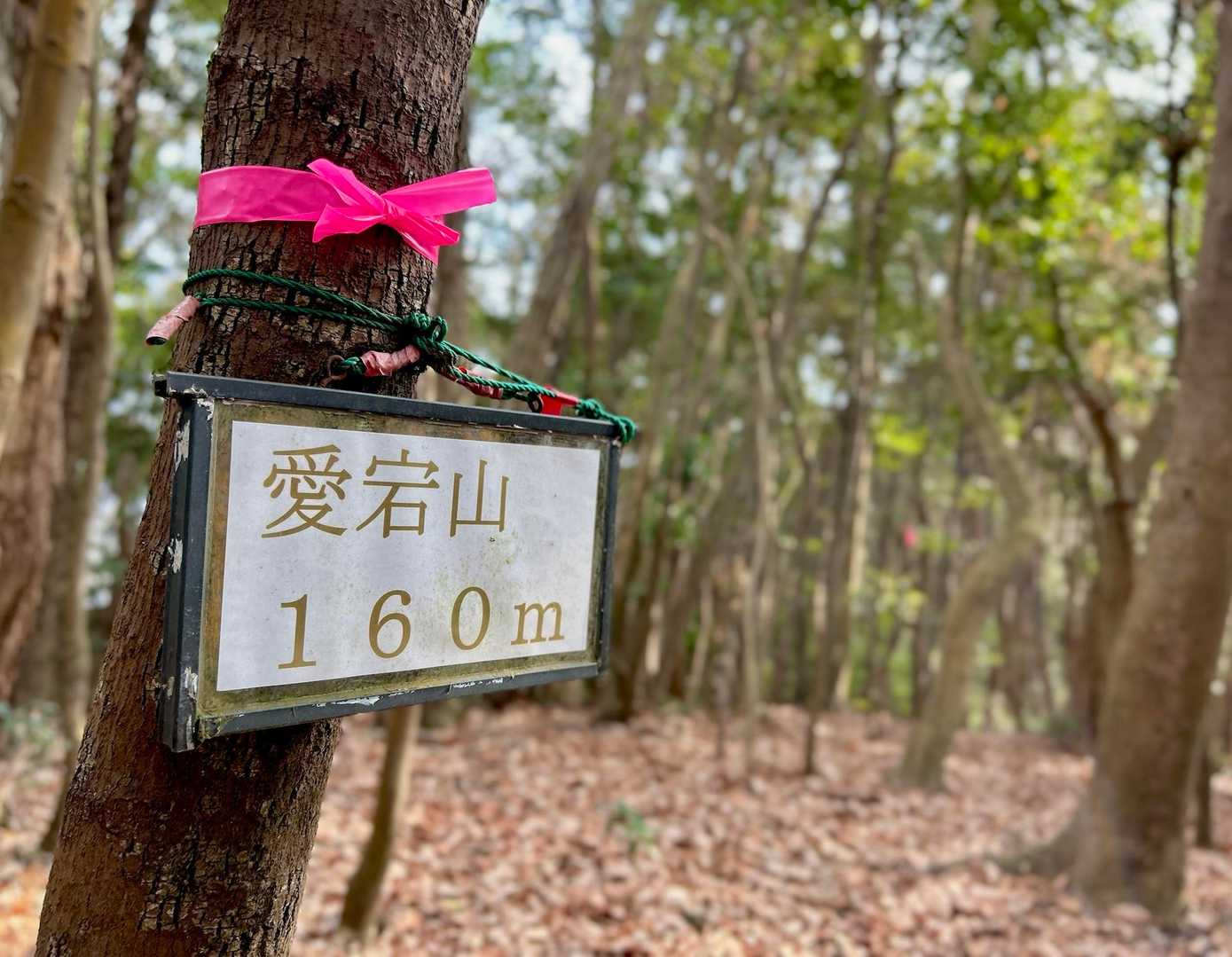 “愛宕山⛰️“登頂✌️