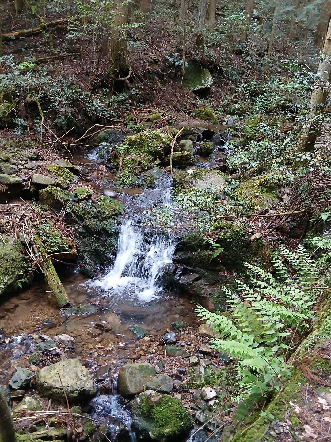 遠見山-納古山 周回コースの写真