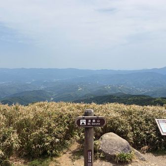達磨山山頂