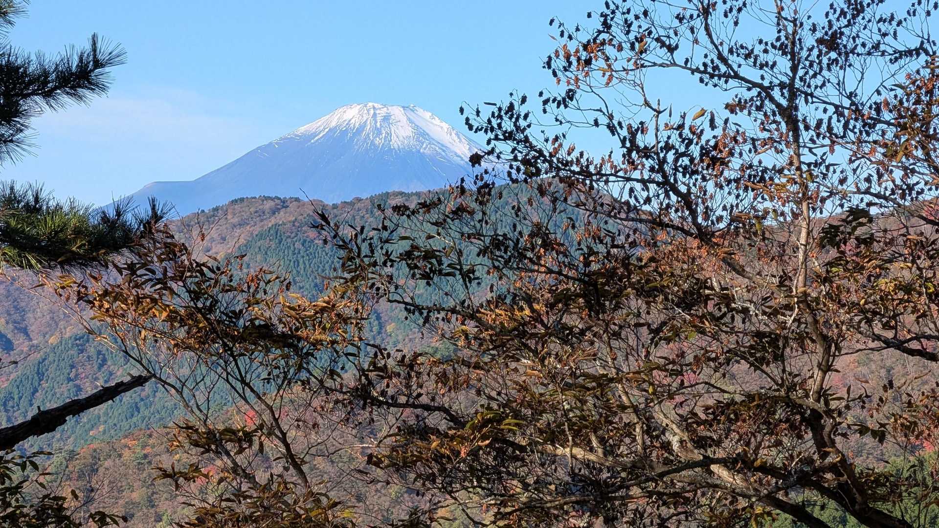 富士山