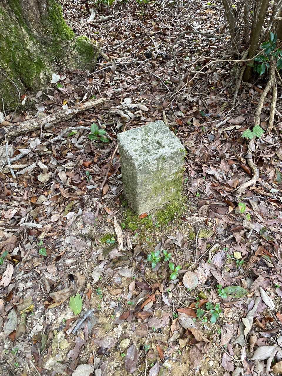 丸山三角点