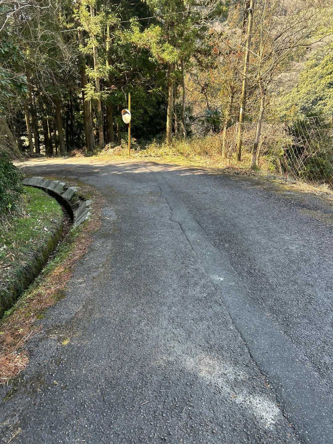 後は道路歩きです。