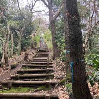 ヒィ〜！山頂直下は八ヶ岳並みの急登😅