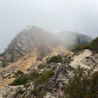 鎌さんもボケた😶‍🌫️