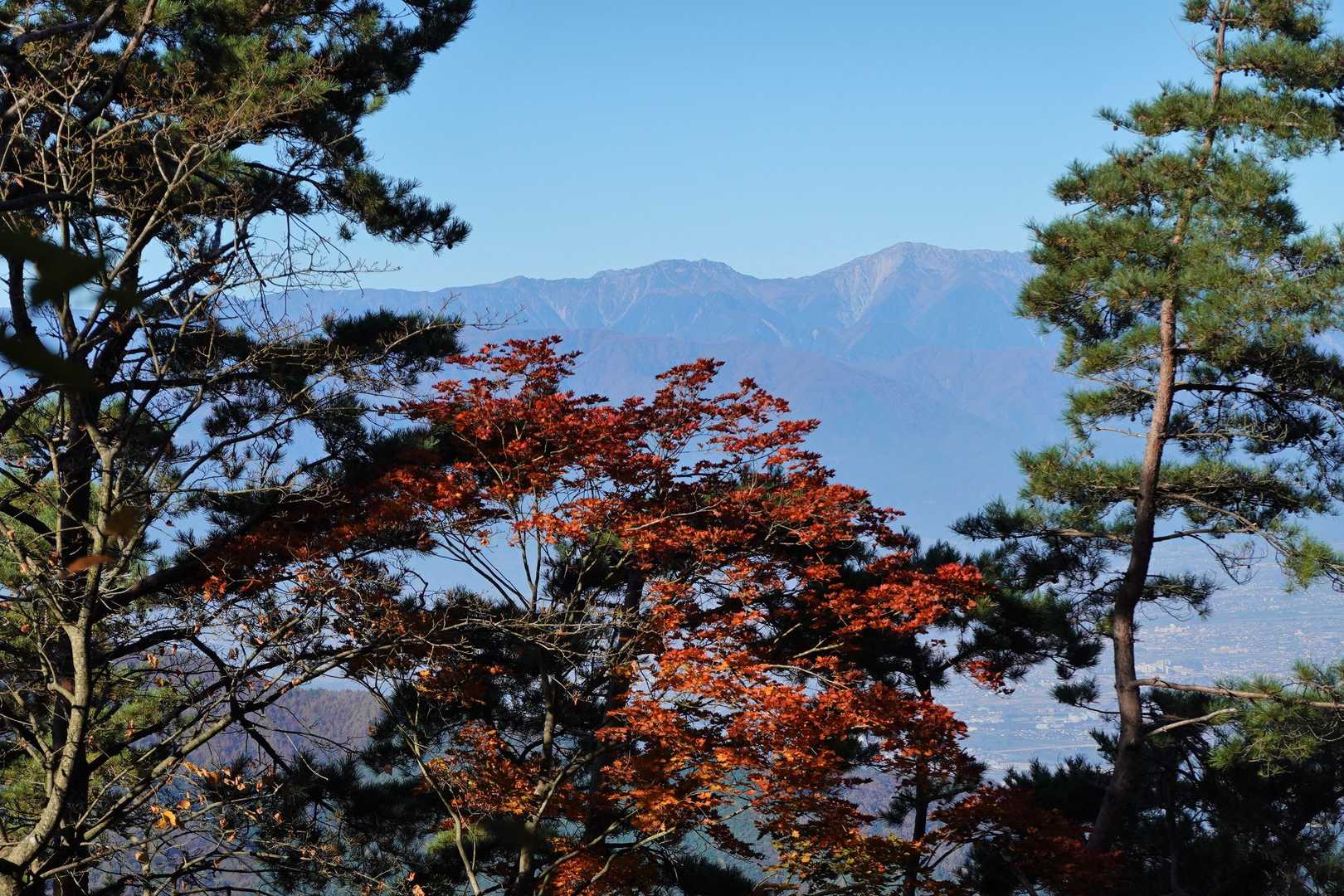 大栃山（檜峰神社）の写真