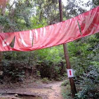 ここの分岐いつもどっち？ってなります
答えはまっすぐ