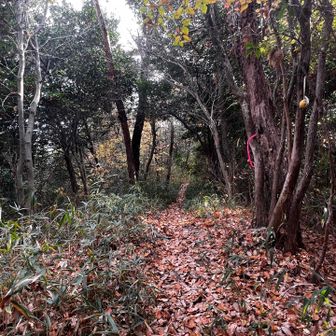 45　木根山　268.0m
No.27