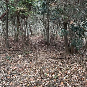 周りをキョロキョロ
帰り道覚えておかなきゃ🧐🤔