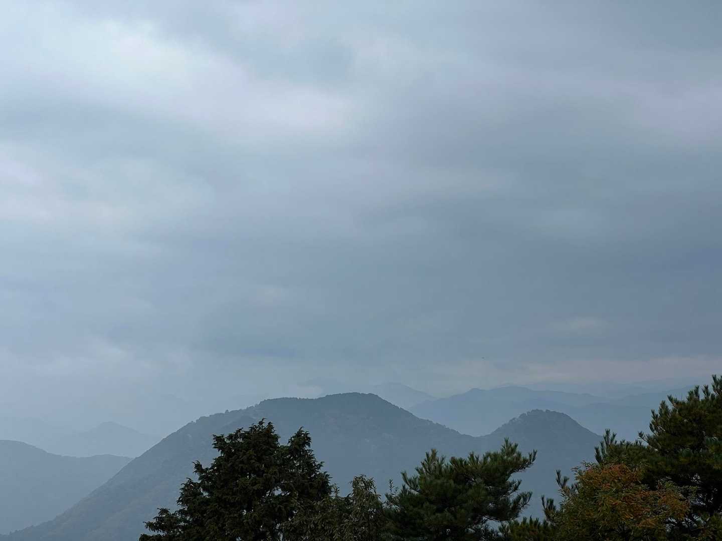 北西