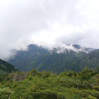 山頂より