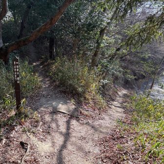 先に市章山だっけ？