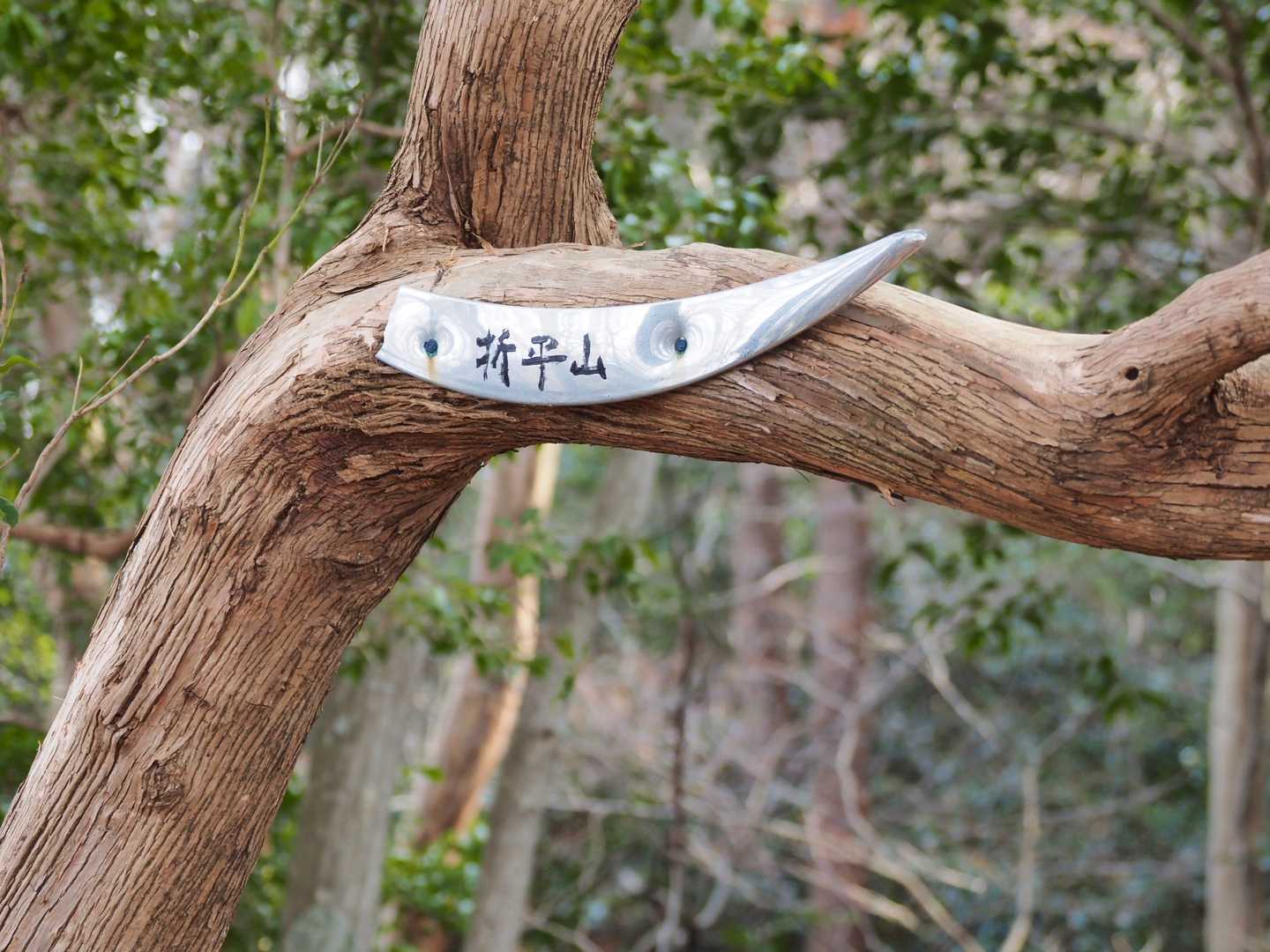 一息しながら見回す👀