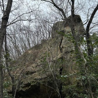 達磨岩
この上が連石山らしい