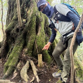 大福山山頂標識見つけた。
