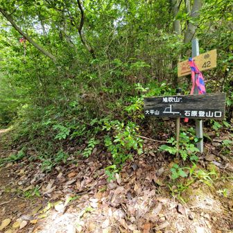 今日は大平山にいくよー