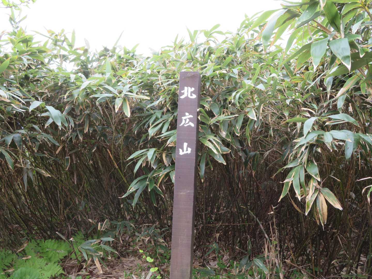 北広山山頂