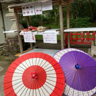 蛇の目傘