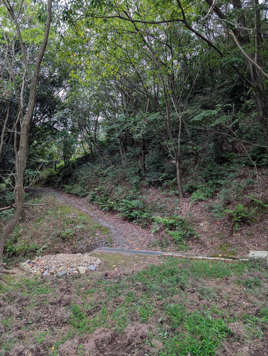 駐車場から少し歩いて登山口はここです🥾