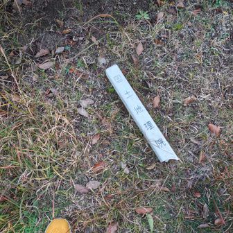 名古山の三角点は見つからず、この近くだとは思うけど💦