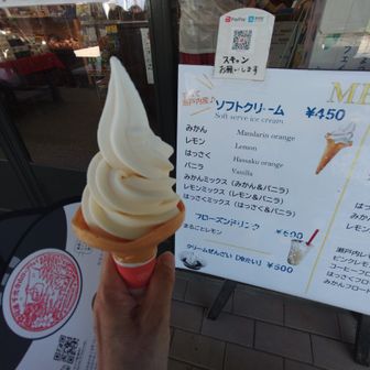 ロープウェイで展望台まで戻り、お待ちかねのソフトクリーム🍦
迷わず、はっさく一択😻