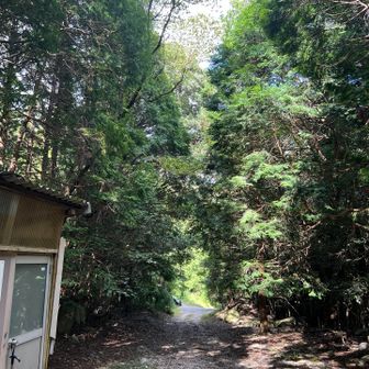 あっとゆうまに下山

おつかれさま