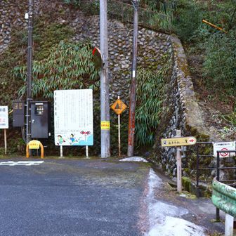 ここを右に行くと大多摩ウォーキングトレイルのコースですが、今日は左へ。