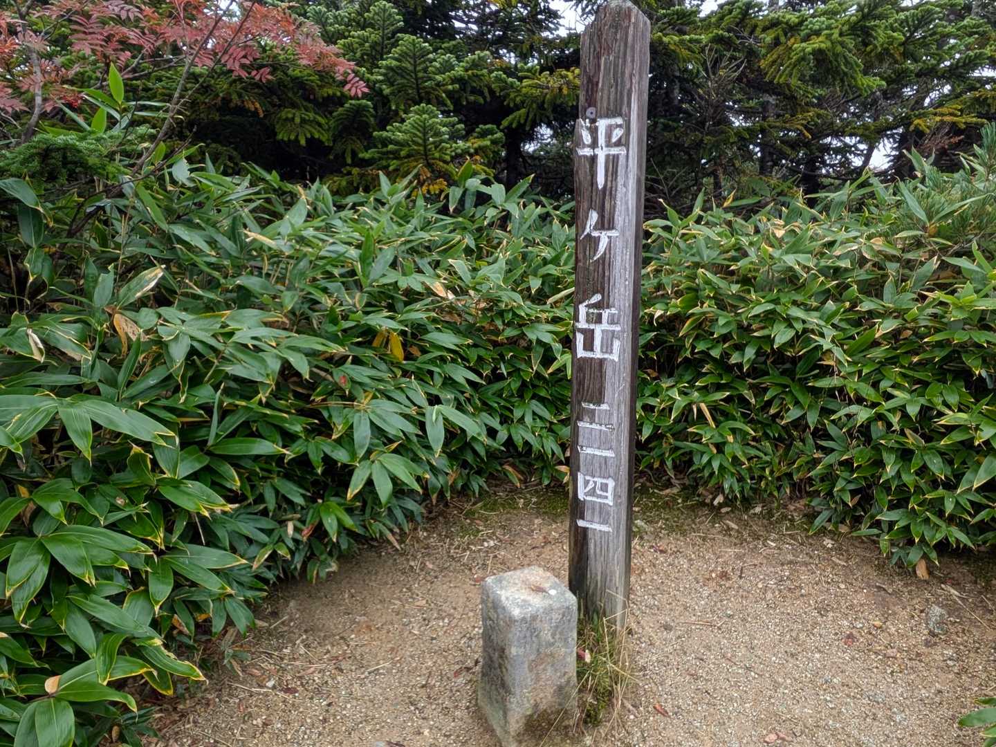 平ヶ岳山頂🙌🙌🙌