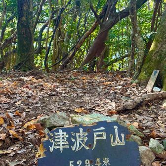 九州百名山
津和戸山山頂⛰️