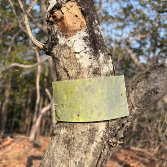 ナンテ？

エイジングアイ片足突っ込んでますのでネ🫥