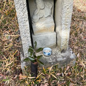 水を入れてあげる