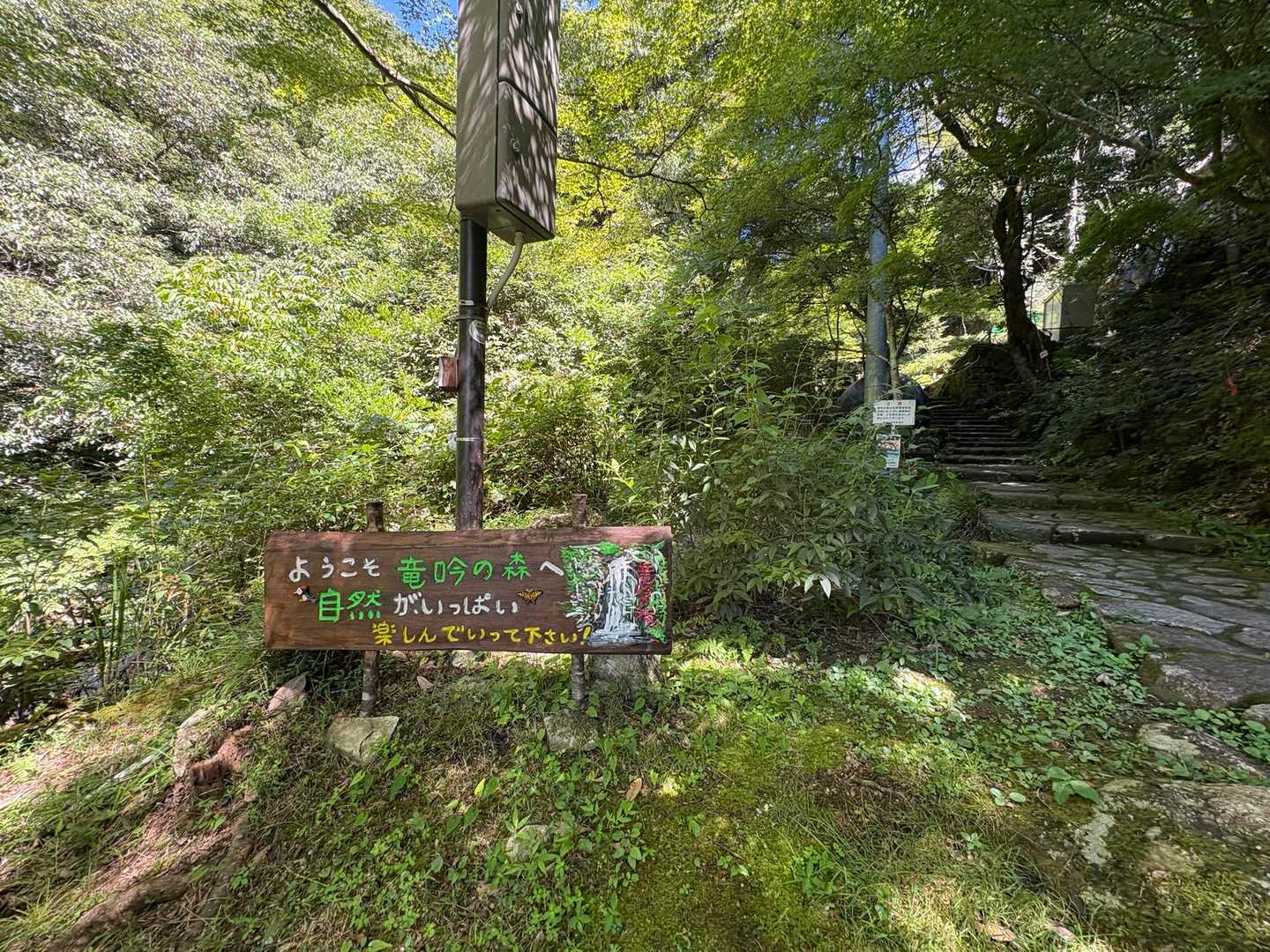 日陰も多め☺️✨