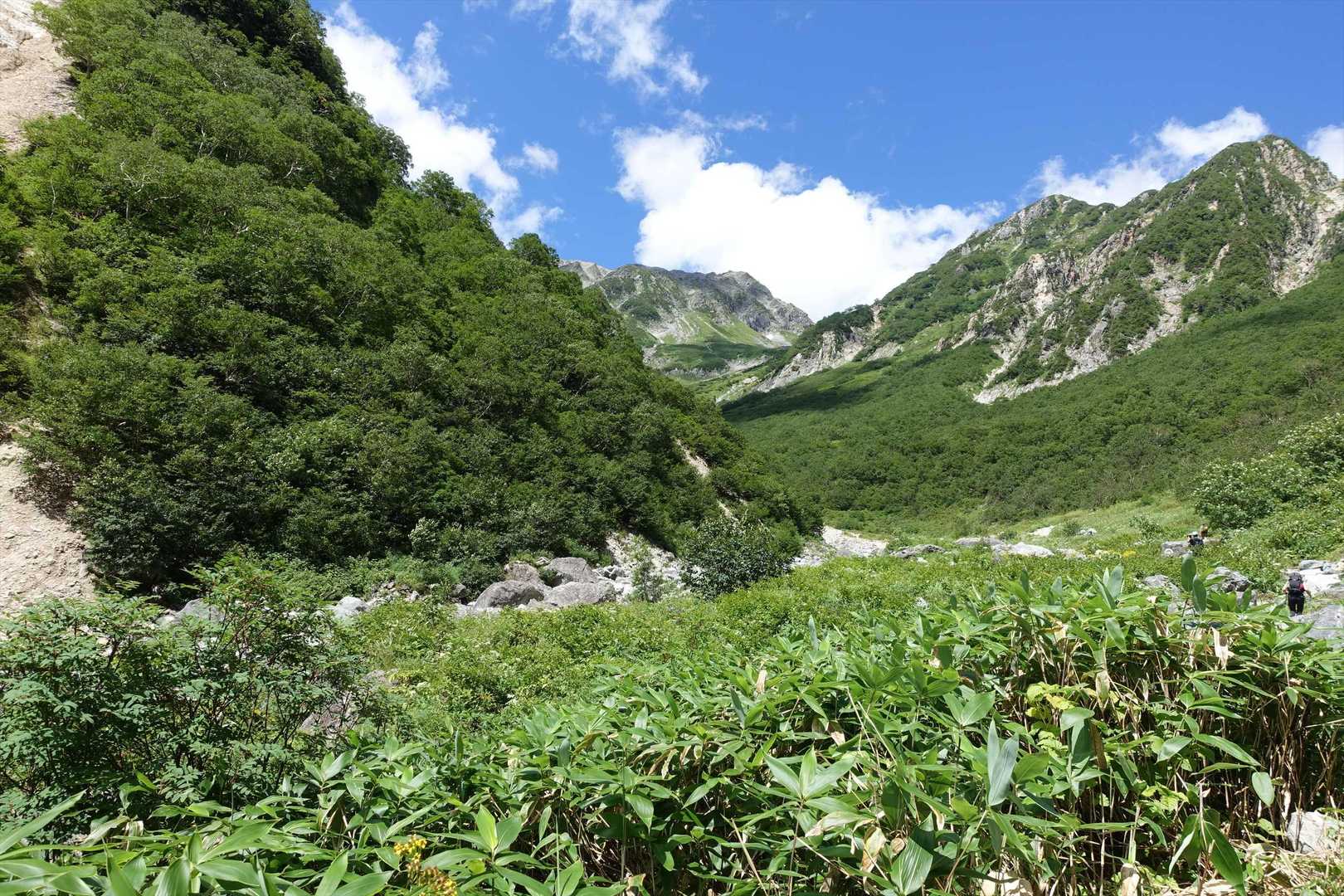 坊主岩小屋-赤沢岩小屋-槍見河原-小梨平-河童橋-上高地バ 縦走コースの写真