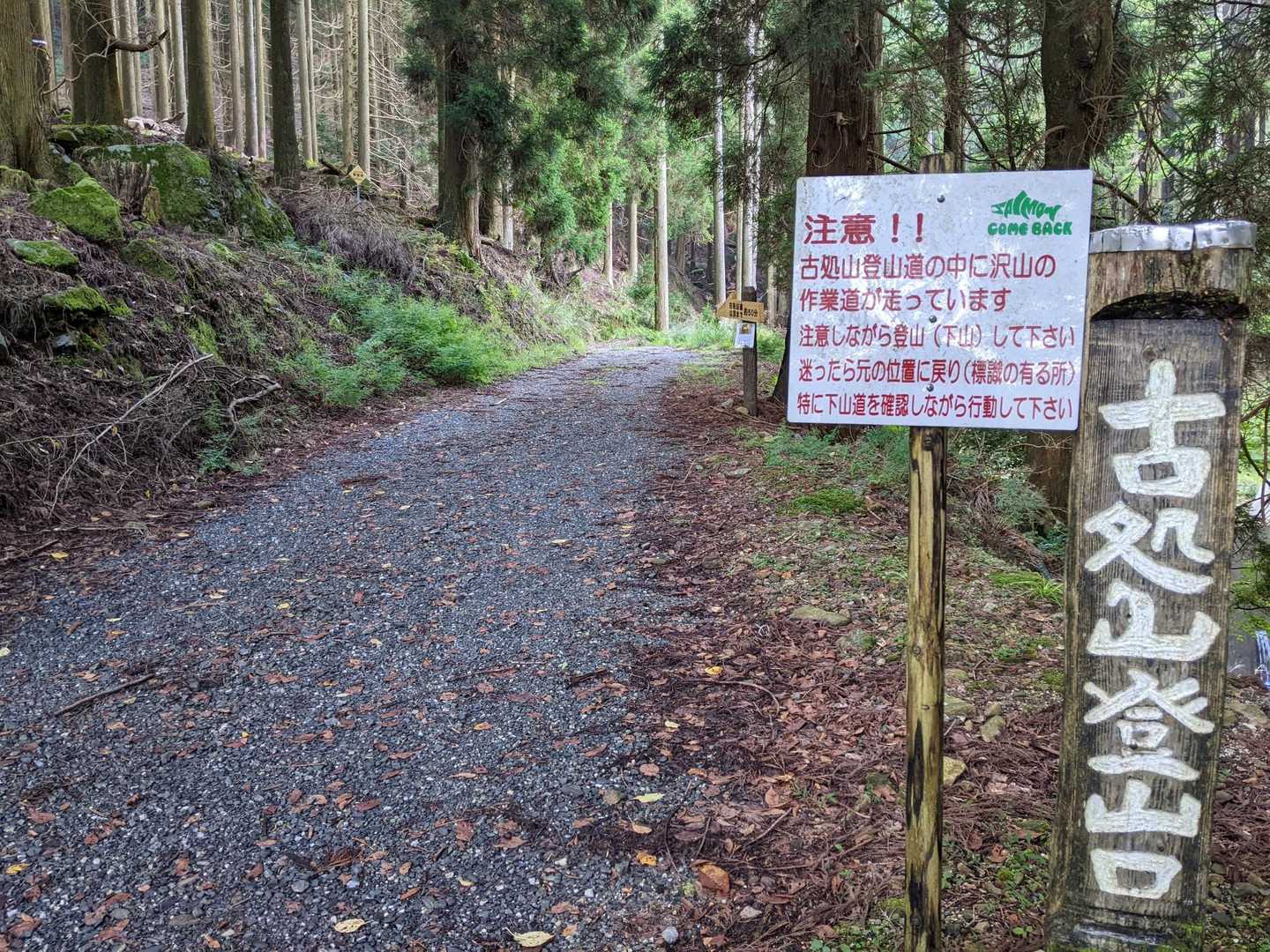 コチラから登ります😊