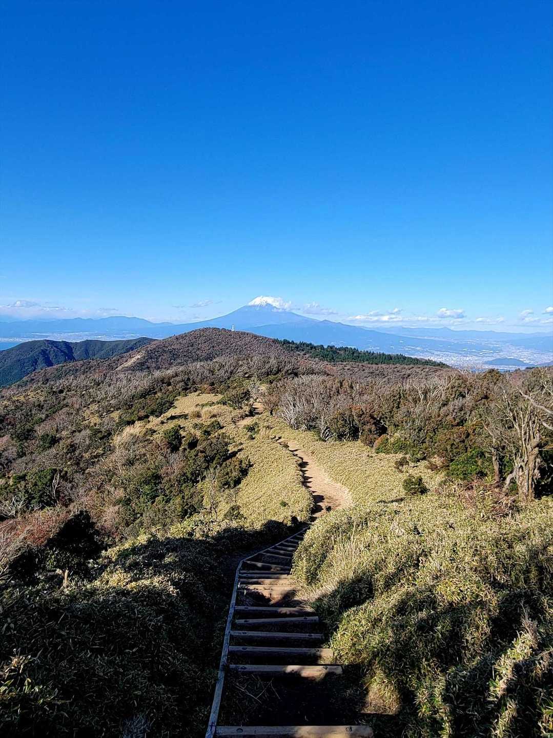 だるま山高原レストハウスバス停-金冠山-戸田峠-小達磨山 往復コースの写真