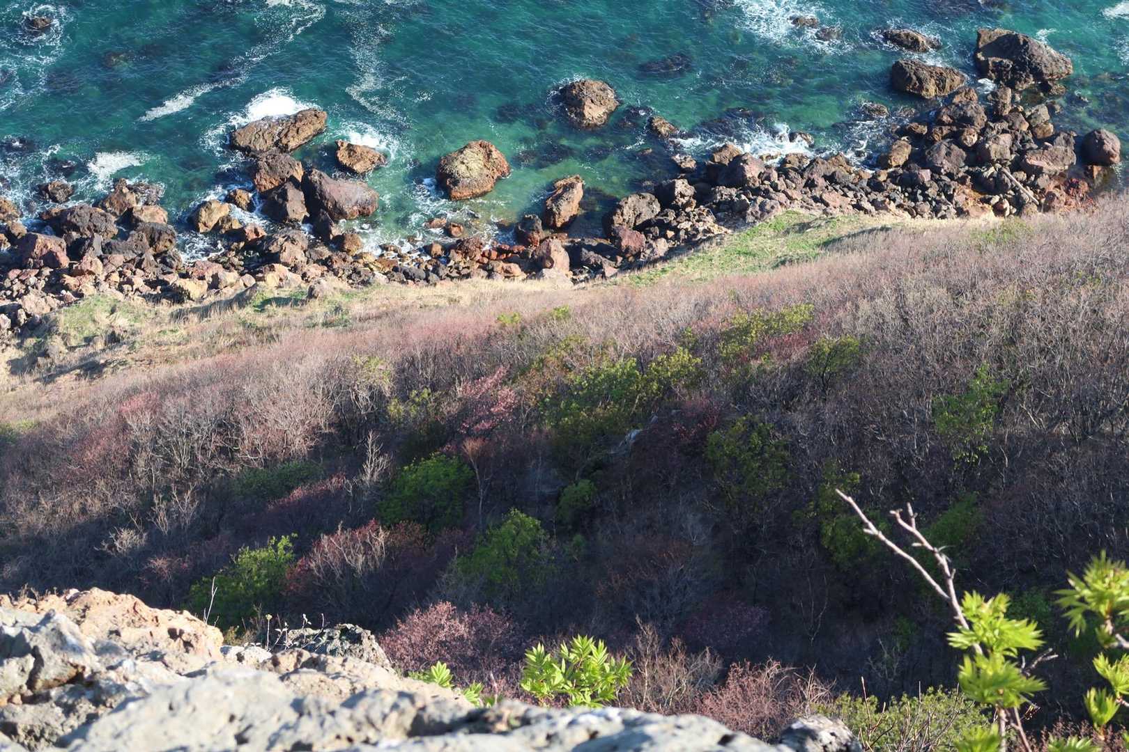 山桜も咲き始めてますね🌸