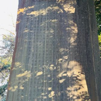 見たことあります？
足羽神社にある巨大な石盤です。
ひっそりと。