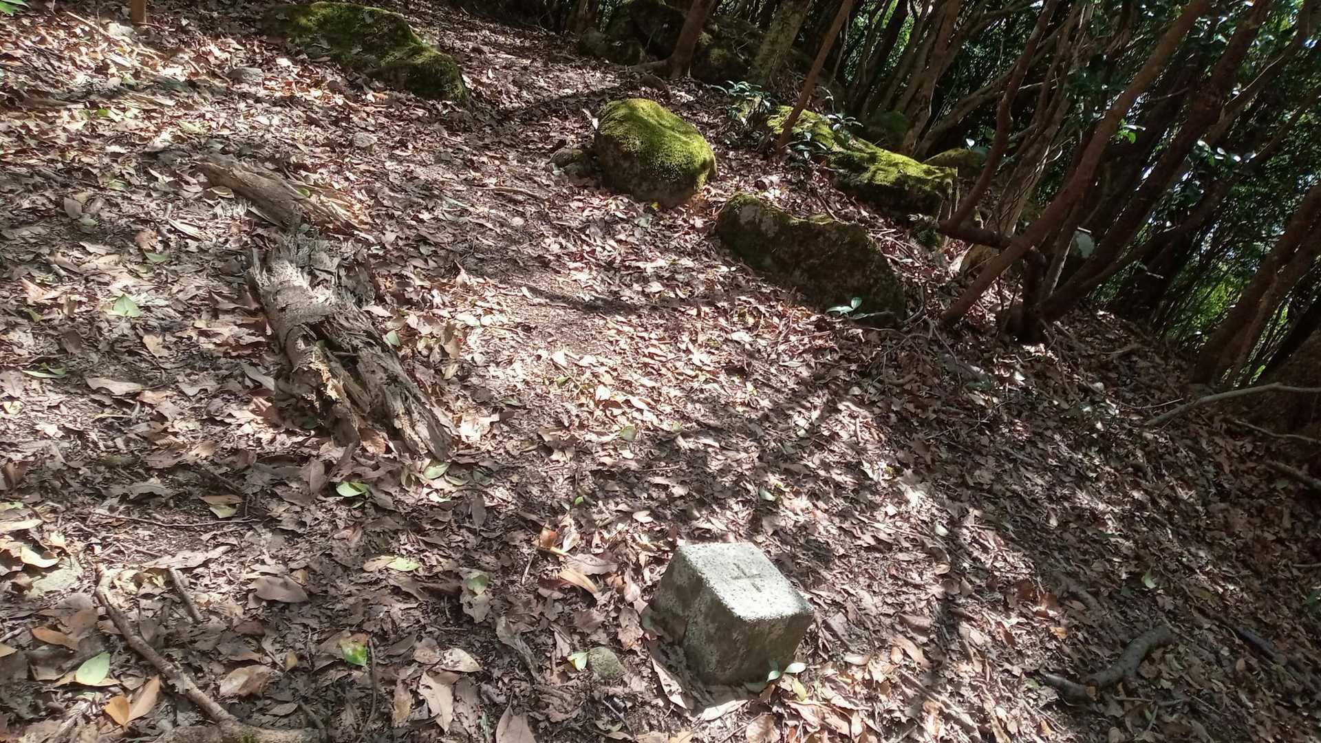 石山自体は眺望ないためすぐ戻る