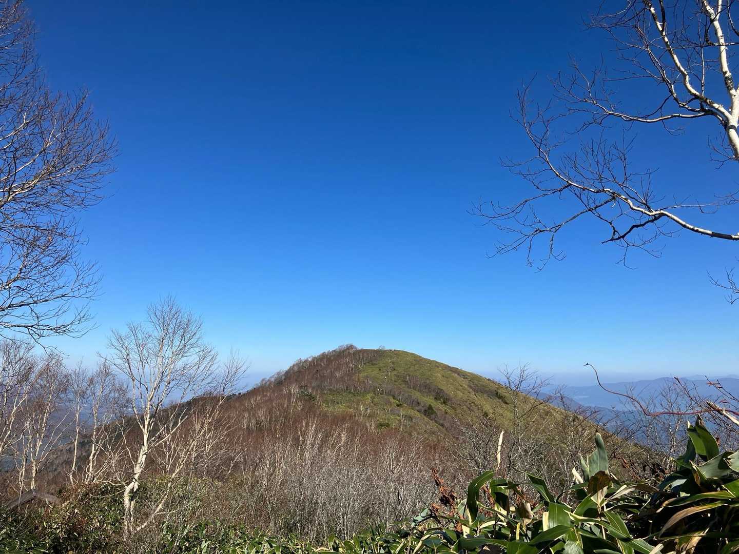 と思ったら、頂上が遠くに見えて、少しショック😨