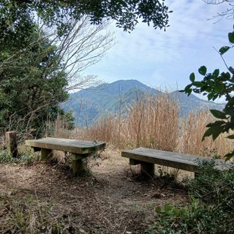 企救自然歩道の稜線に出た