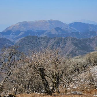 茶野からの眺めです。この方角からしか見られない、霊仙山と伊吹山のカルスト台地２点詰め合わせです。